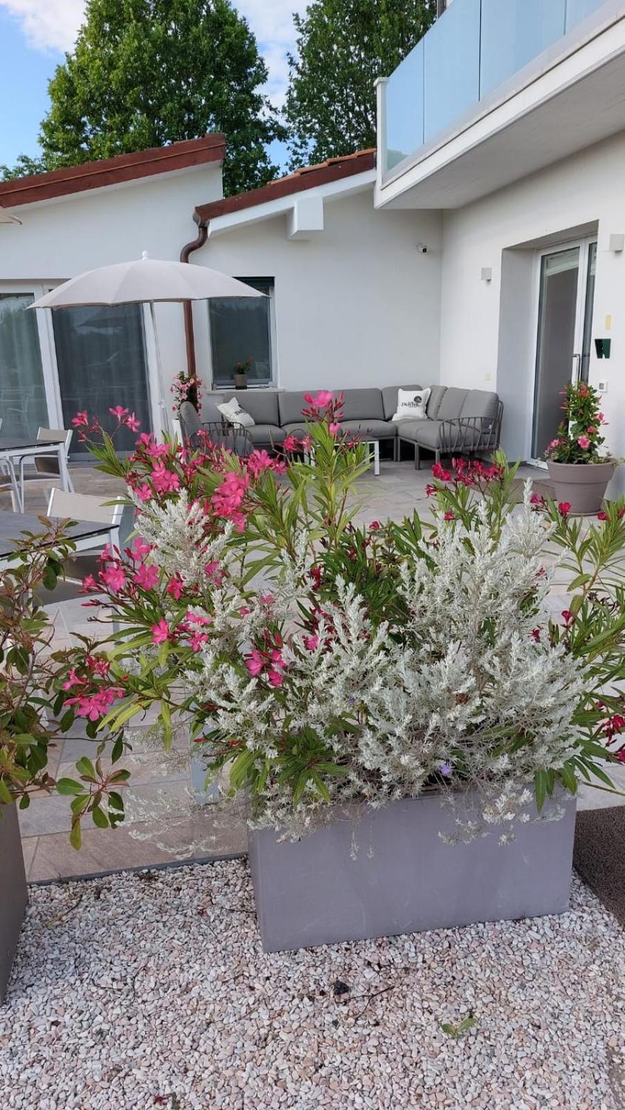 I Delfini - Natural B&B เชเซนาติโก ภายนอก รูปภาพ