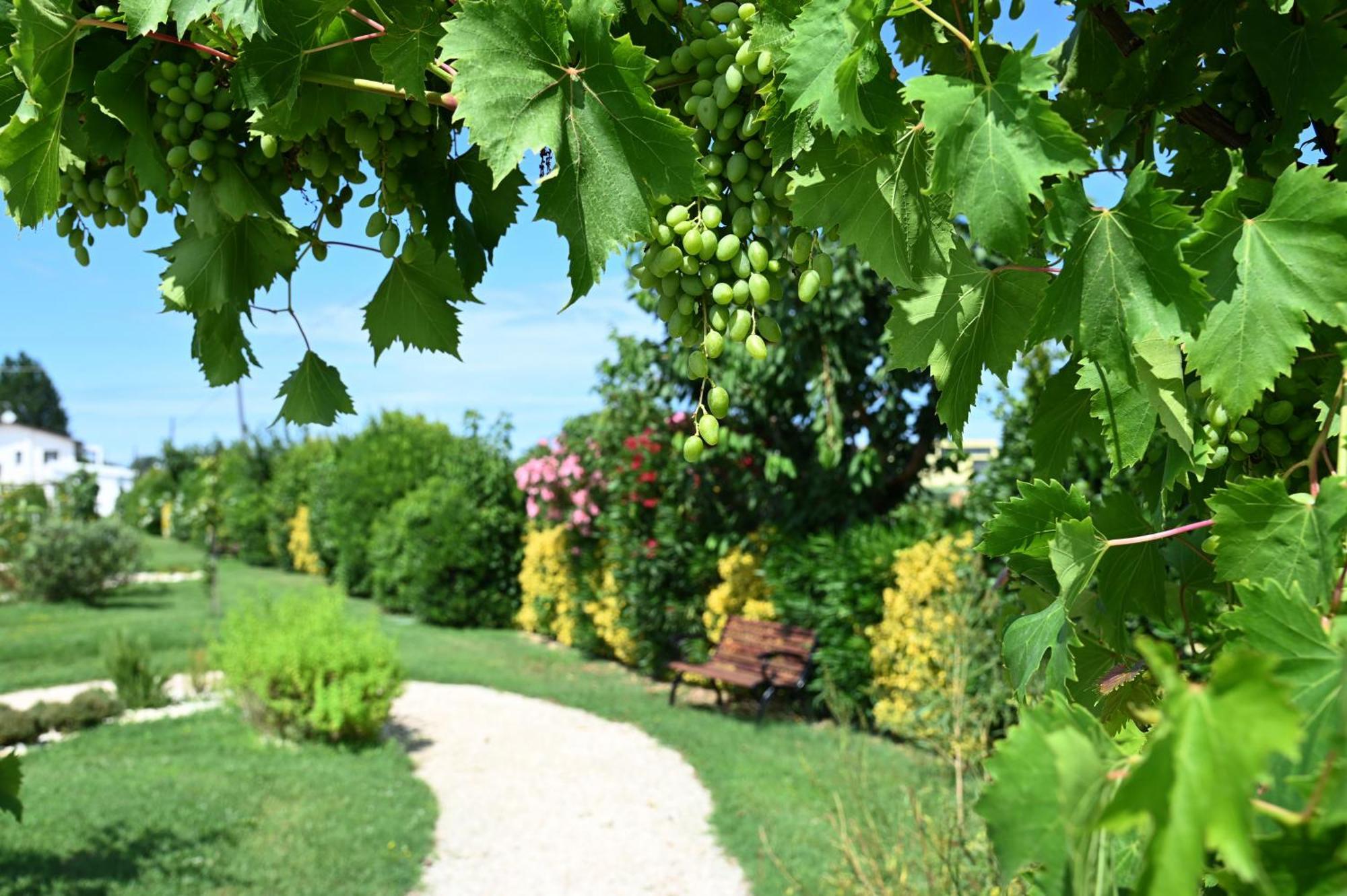 I Delfini - Natural B&B เชเซนาติโก ภายนอก รูปภาพ
